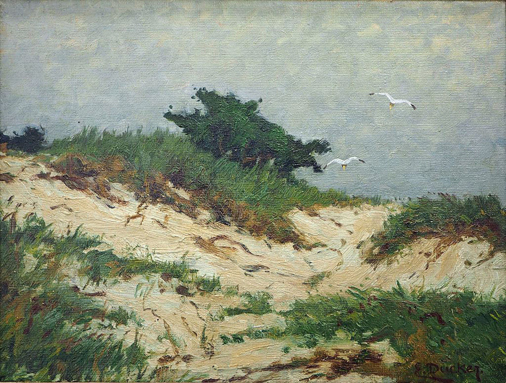 in the dunes